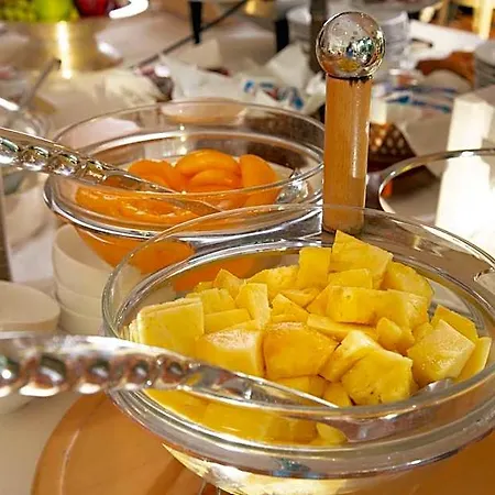 Hotel Gallia Palace 4*